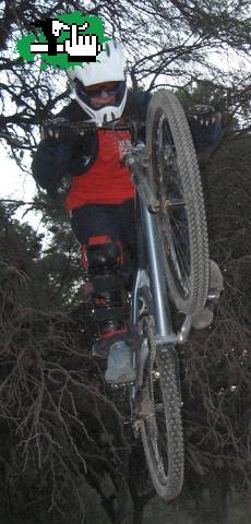 mini dh team