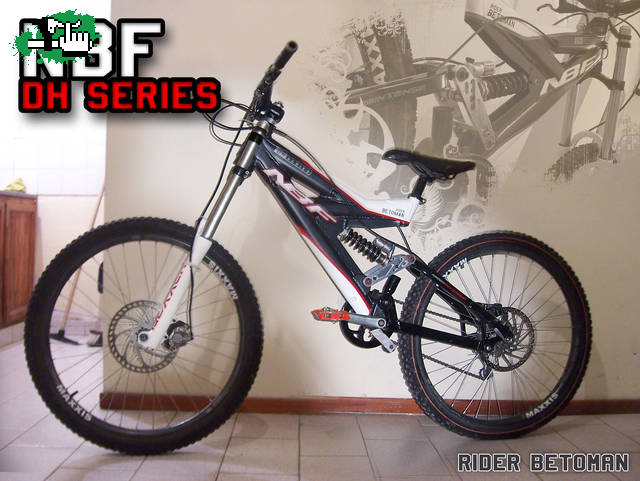 NBF DH TEAM