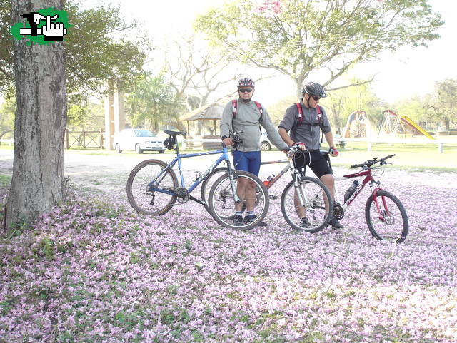 con el amigo mono debajo del lapacho
