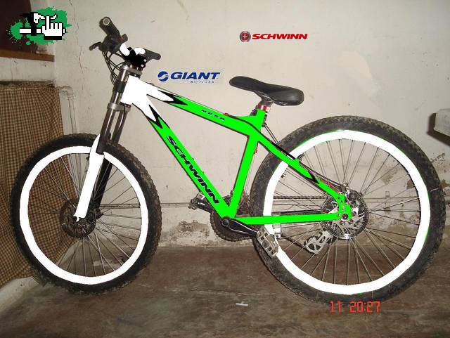I project schwinn 2008
