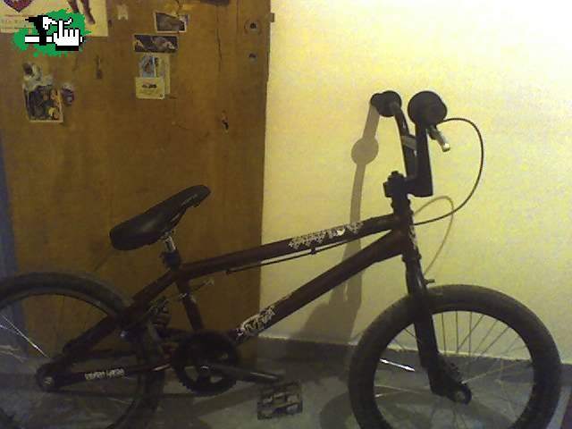cgb46