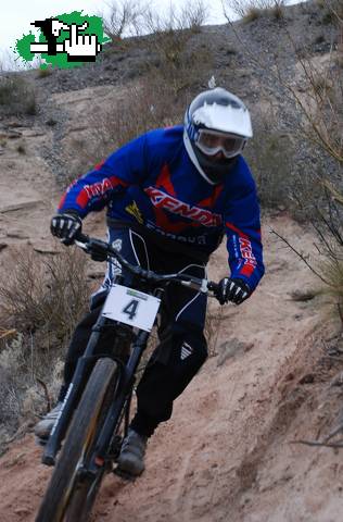 bardas cup