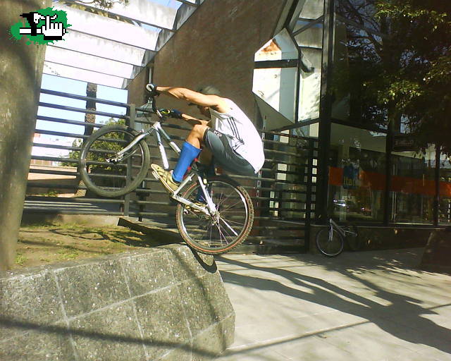 el pajaro trial elite team