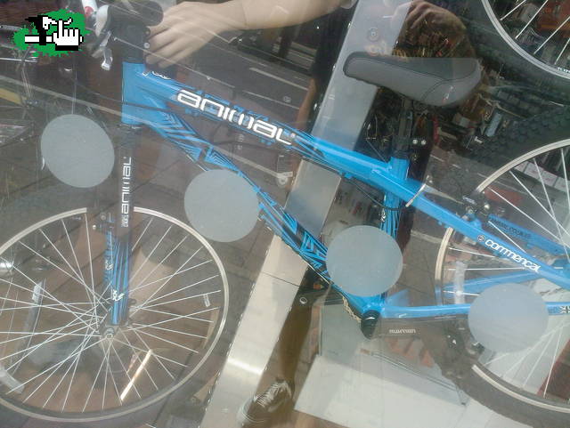 commencal baratita!