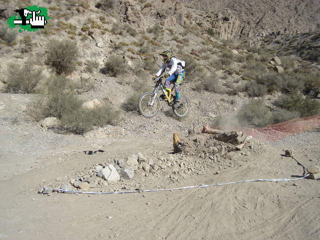 maxi molina