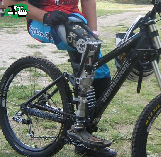 free ride 2