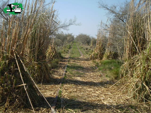 Los 3 chiflados del pedal: Salida sin rumbo fijo....