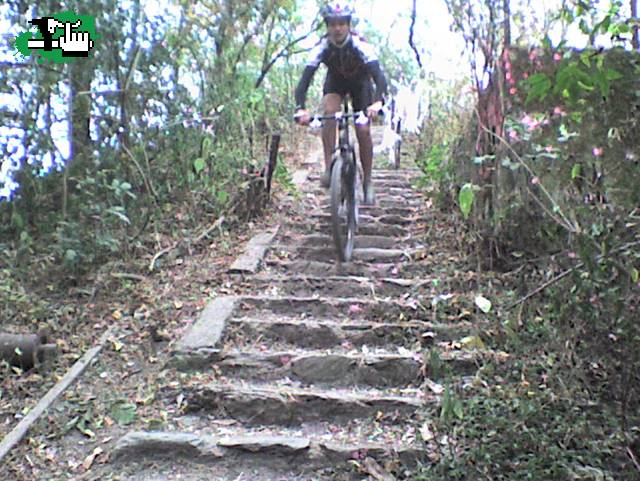 escalera lules