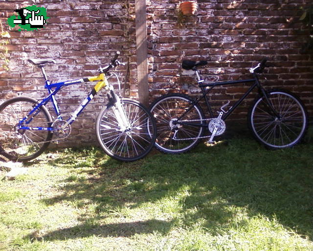 mis gt. . .
