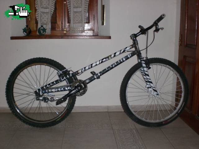 DRD zebra con geo cambiada