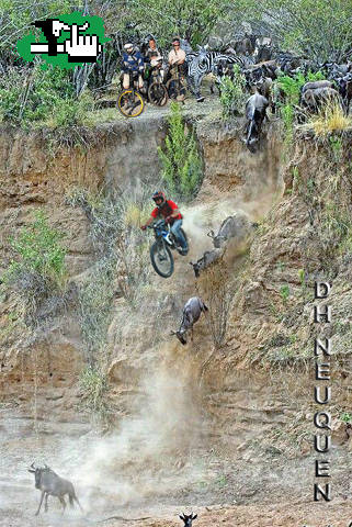 DH ANIMAL!!!