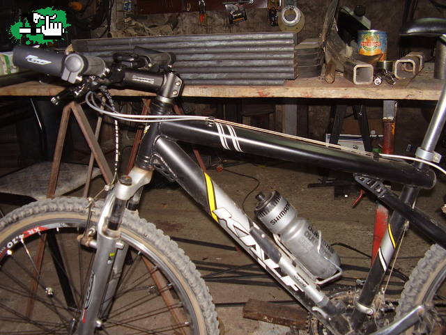 Inverti el stem