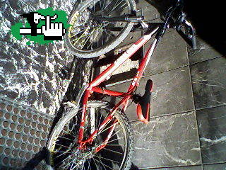 miraa q pedaso de bike jajajaja