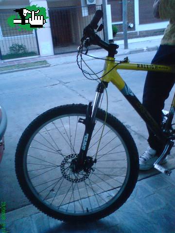 nueva suspension