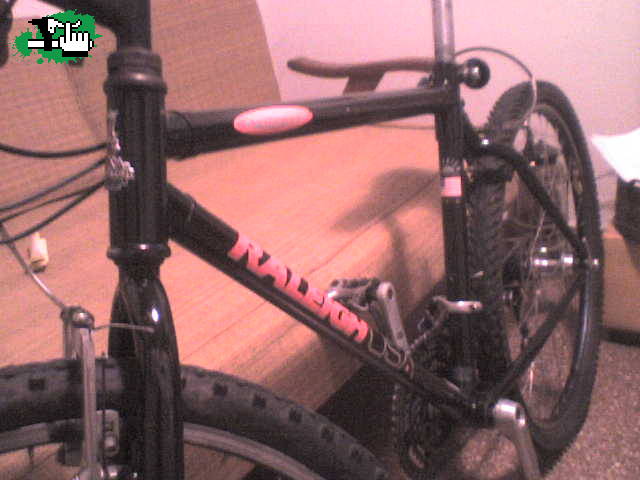 jojopittaro