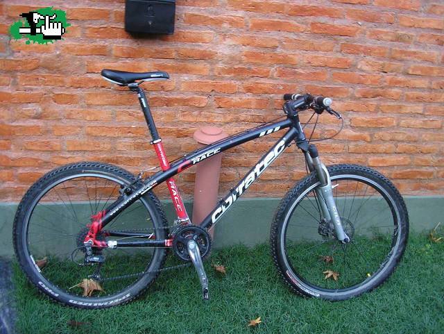 les gusta??