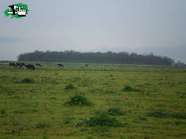Los 3 chiflados del pedal: Desayuno de campo y explorer por la selva negra