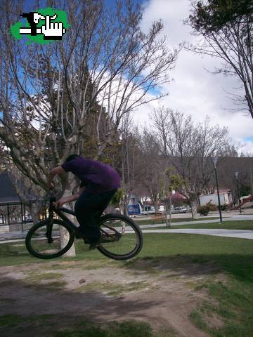 free rider 2