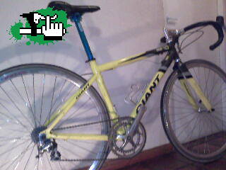 giant tcr 2r