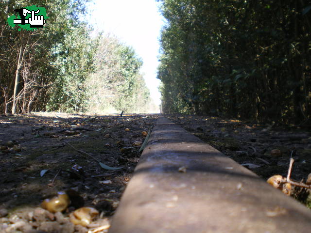 El ocaso del progreso ferroviario