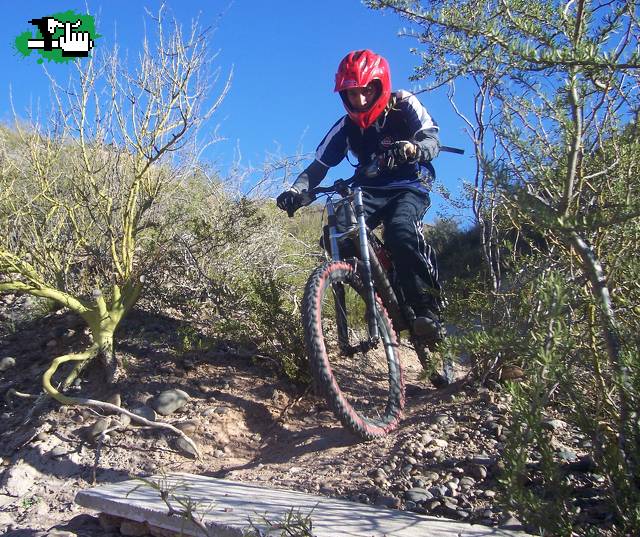 dh neuquen
