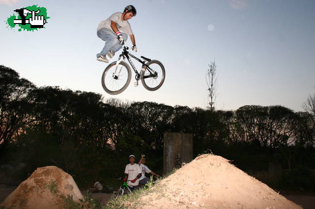 tailwhip