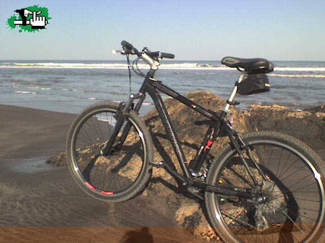 mi negra
