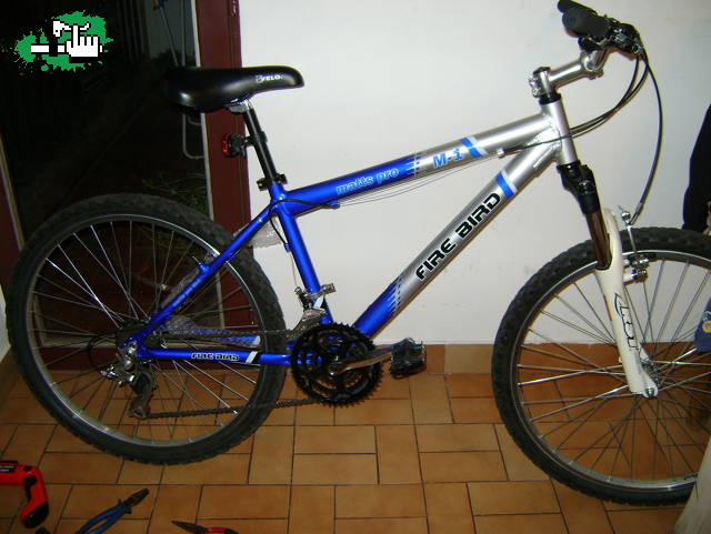 tomando forma