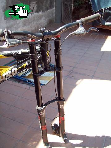 pajaroloko