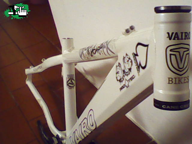 wasabi 08