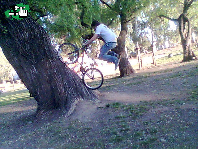 ESTRENANDO BIKE