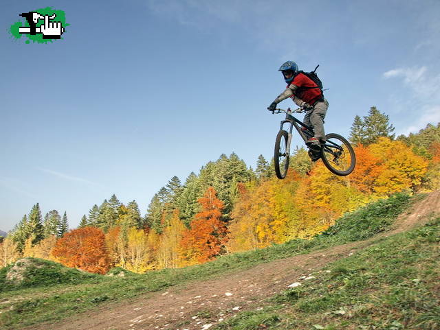 Un otoño simpatico