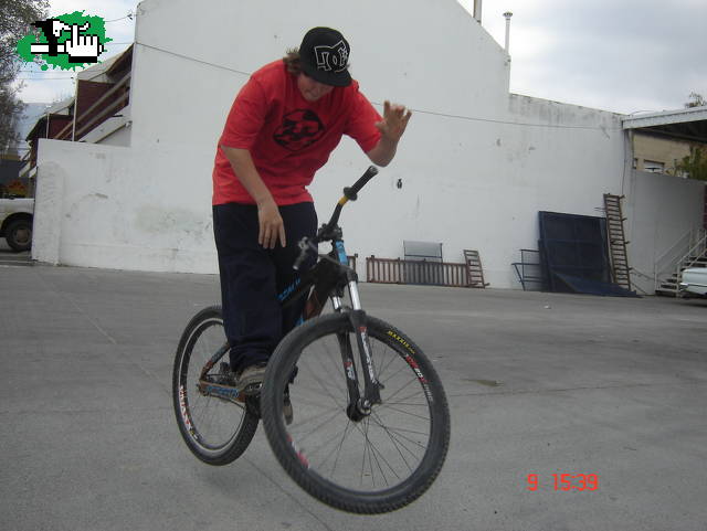 bunny barspin
