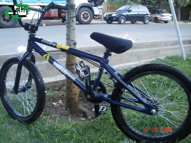 q opinann?