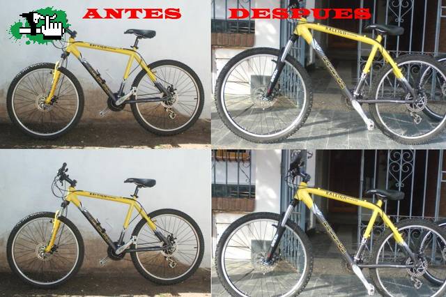 antes y despues