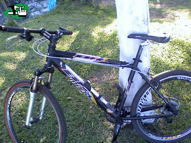 SE LAS PRESENTO