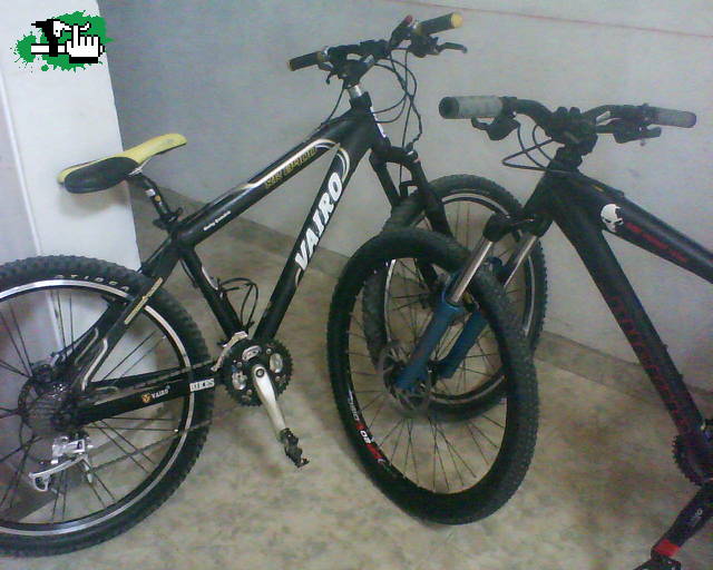 1º plano vairo