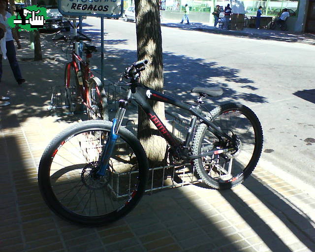 cambiaso