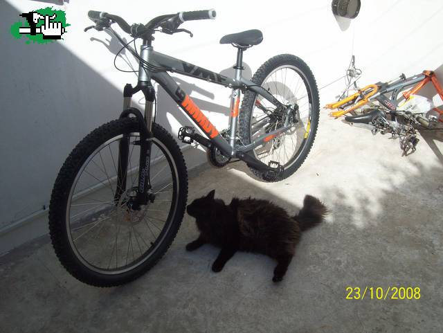 nueva bike!!