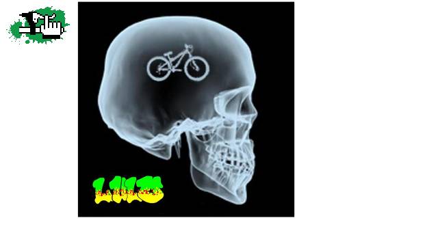 radiografia a lulo