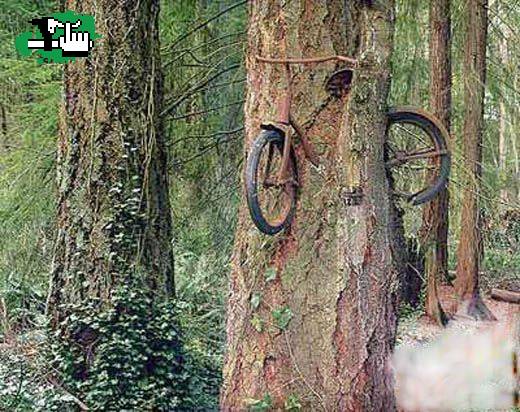 free riders de joaqui
