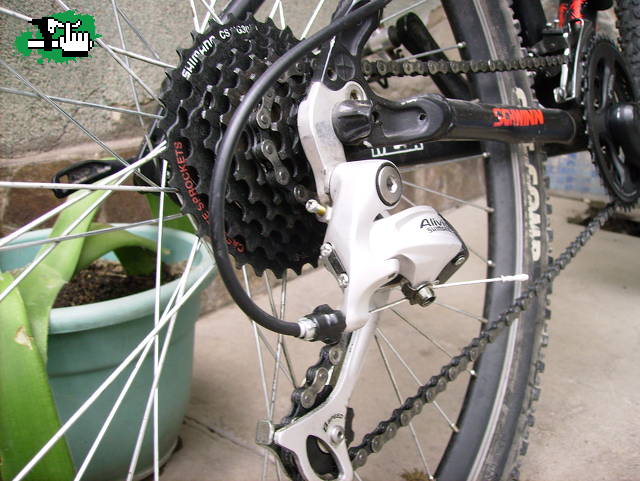 schwinn mesa
