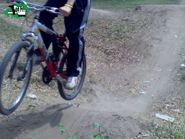 saltandoo. 