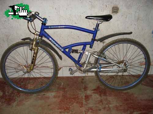 Bicicletas de ¡DESCENSO! (de desc qué?)