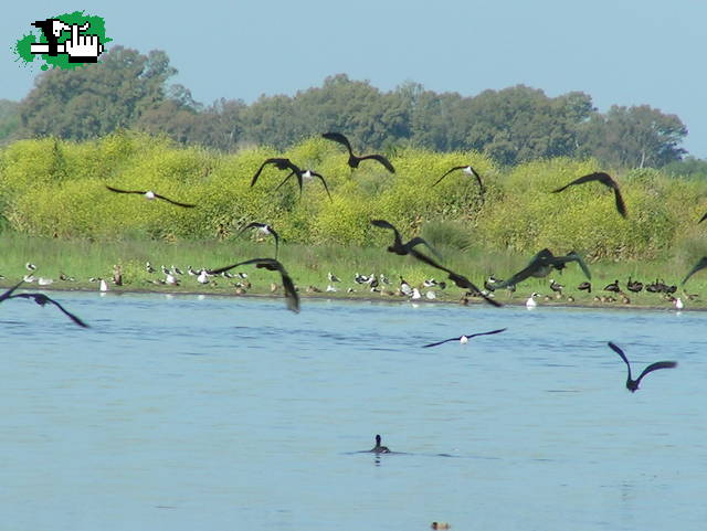 LAGUNA DE LOBOS