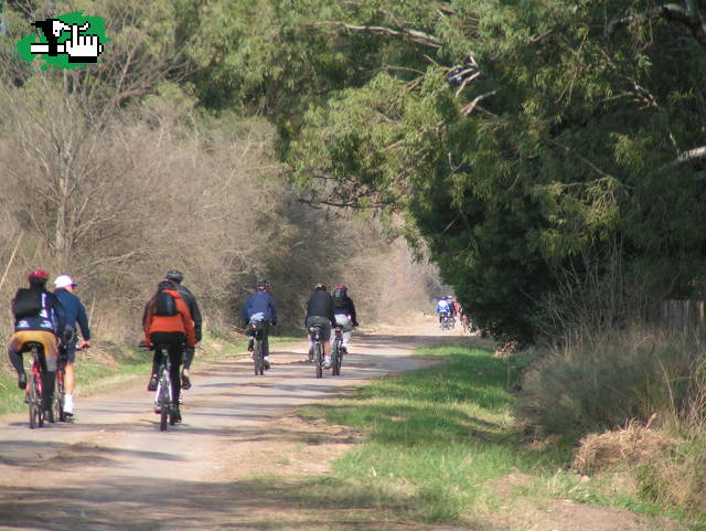 POR LOS CAMINOS DEL SENSEI