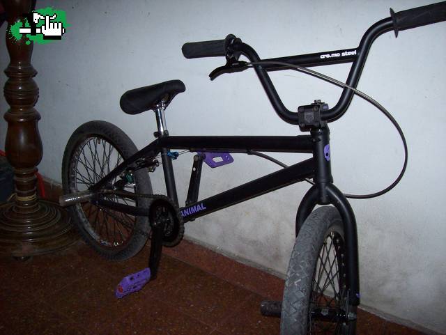 arielbmx