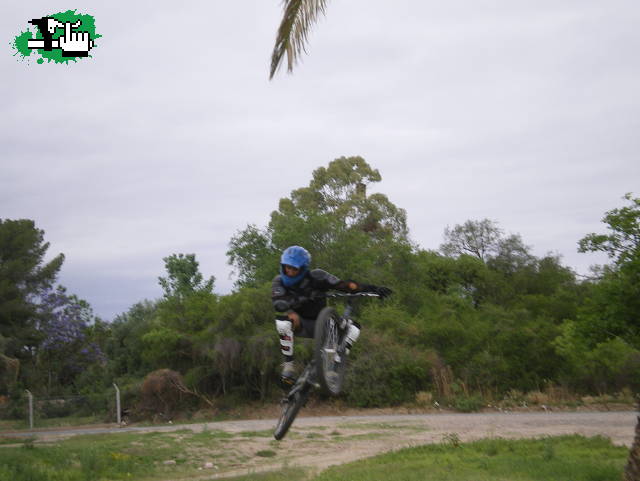Chicho cde