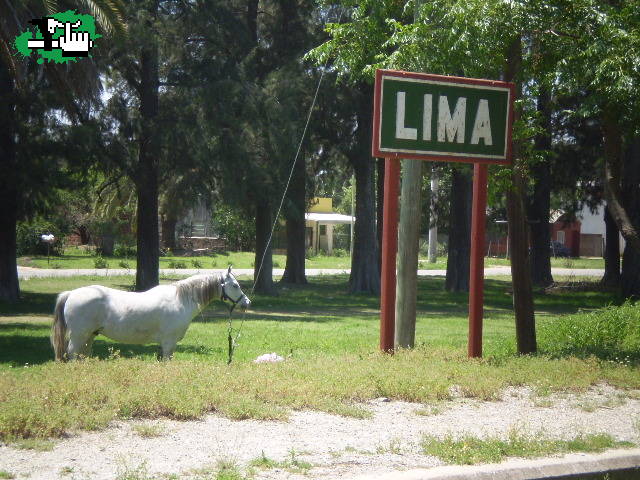 Los 3 chiflados del pedal: Zarate - Lima 