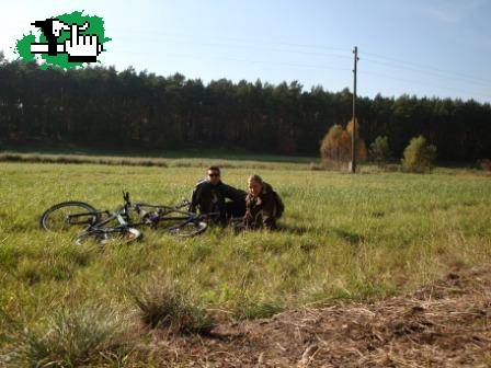 LdP en Polonia..